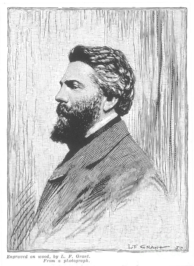 Portrait Photograph - Herman Melville (1819-1891) by Granger
