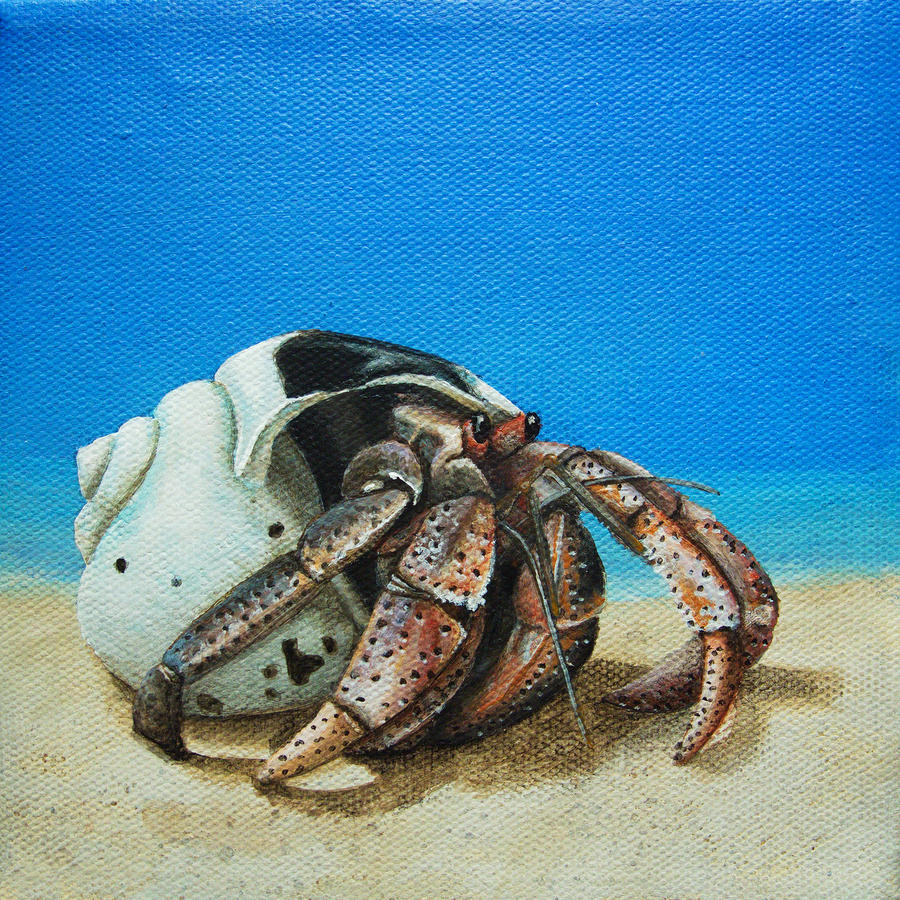 Beach Painting - Hermit Crab by Cindy D Chinn
