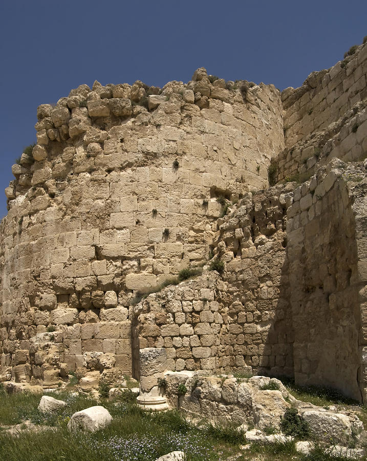 Herods Palace Photograph By Mary Lane - Fine Art America