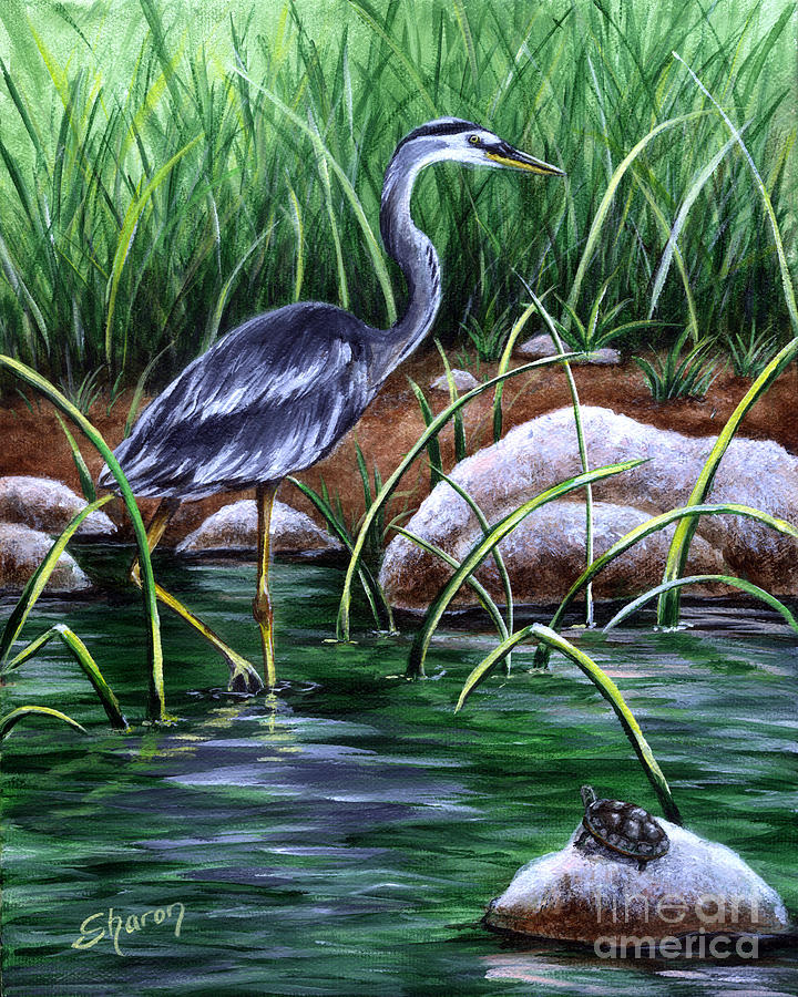 Heron and Turtle Painting by Sharon Molinaro