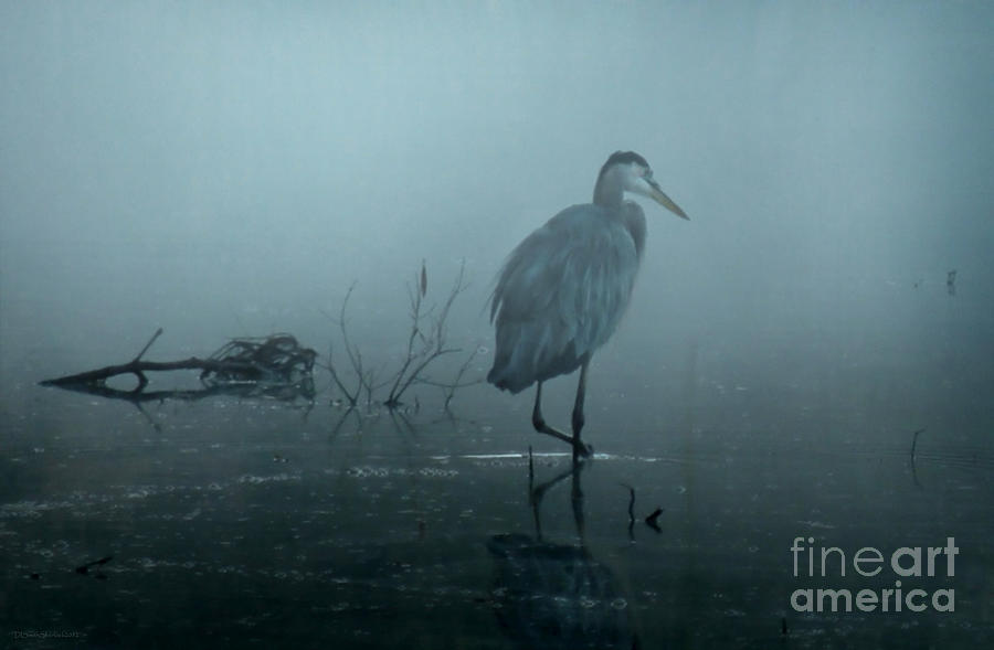 Heron in Blue Mist Photograph by Deborah Smith