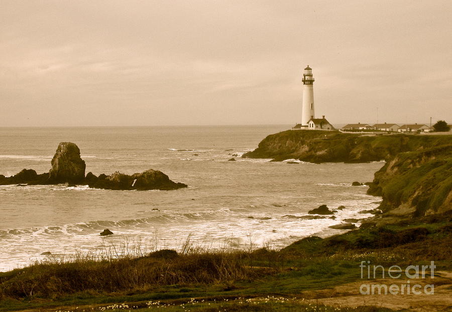 Hi-Pigeon Point Lighthouse Photograph by Carol  Bradley