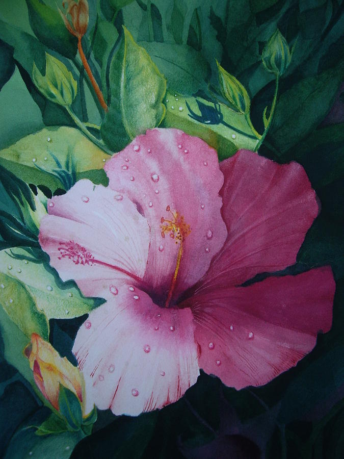 Flower Painting - Hibiscus and Water Drops by Frank Zampardi