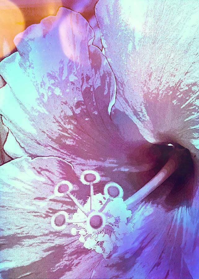 Flowers Still Life Photograph - Hibiscus Blues by Ginny Schmidt