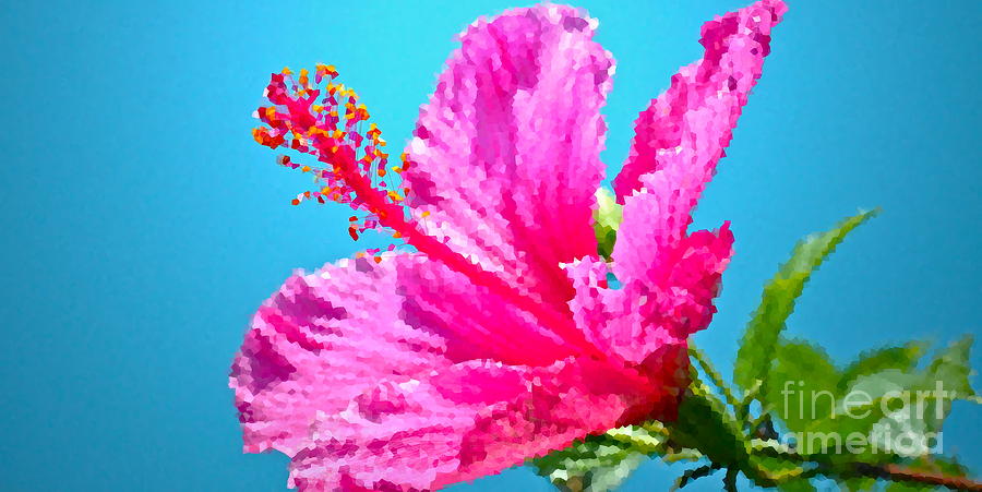 Hibiscus Crystal Luster Photograph by Gwyn Newcombe