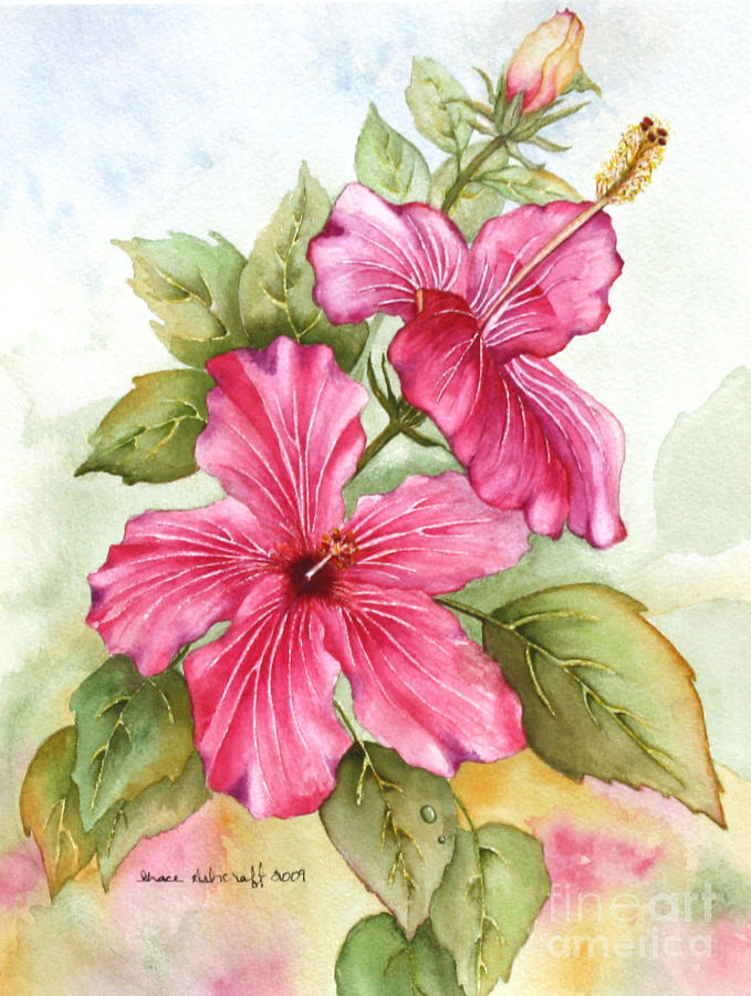 Hibiscus Painting by Grace Ashcraft