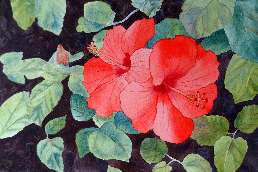 Hibiscus Painting by Laurel Best