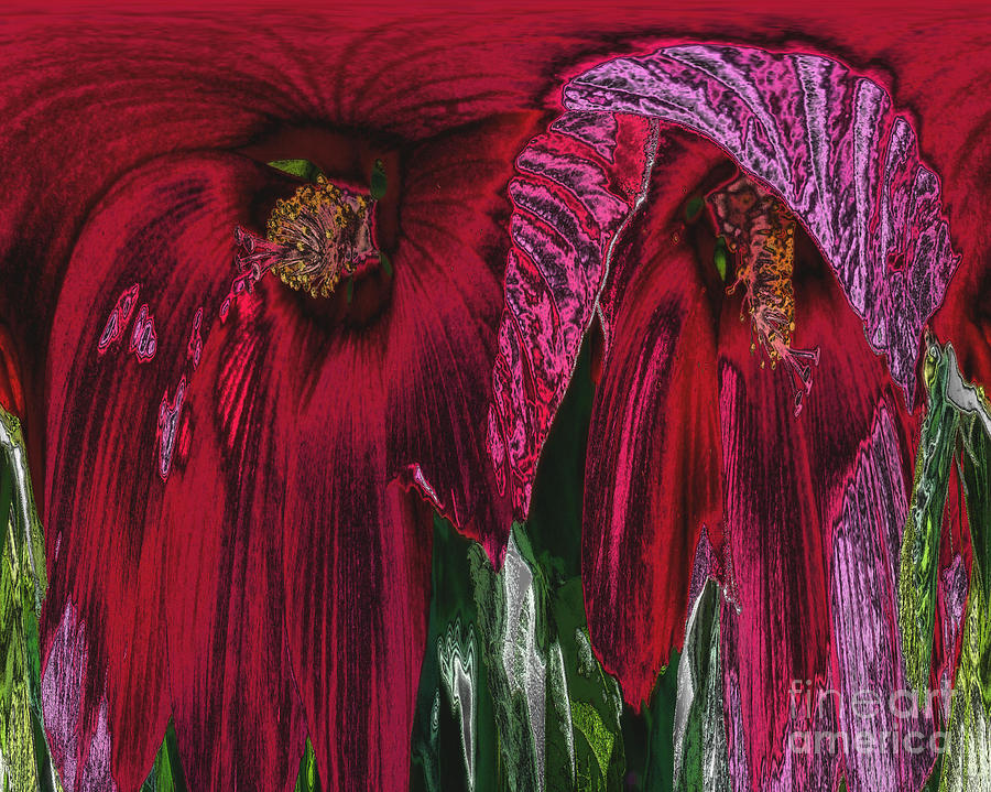 Hibiscus Of A Different Perspective Digital Art by Smilin Eyes Treasures