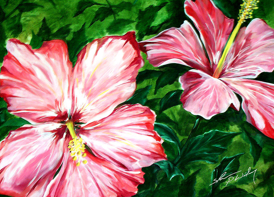 Hibiscus Painting by Shannon Wiley - Fine Art America