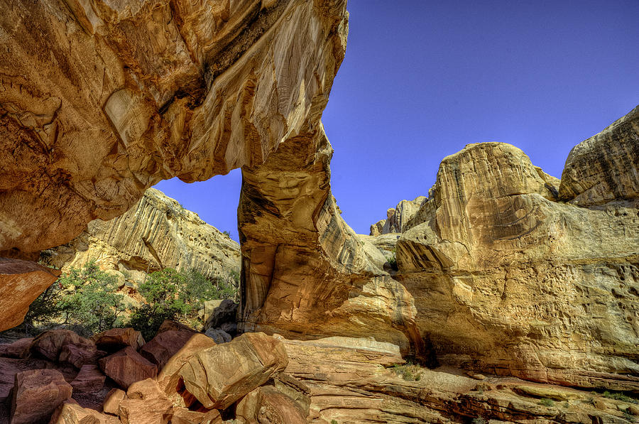 Hickman At Capitol Reef Photograph by Stephen Campbell