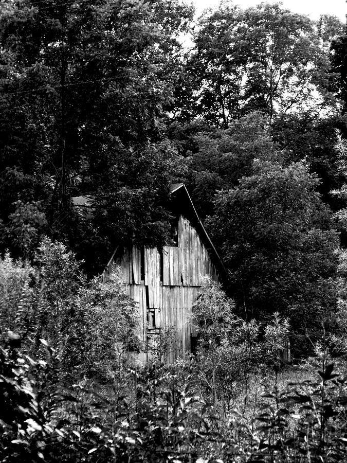 Hidden Barn Photograph by Kristie Bonnewell - Fine Art America