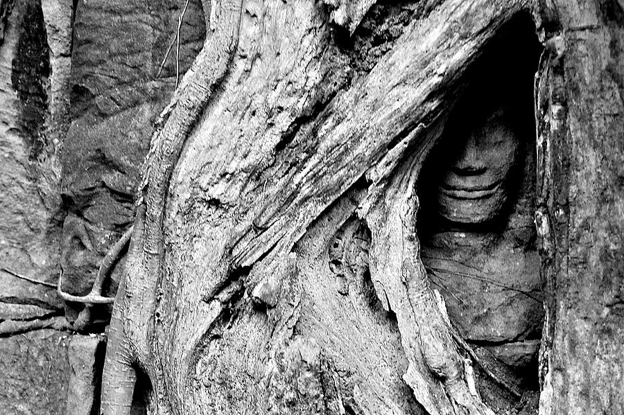 Hidden Buddha Photograph by Arj Munoz