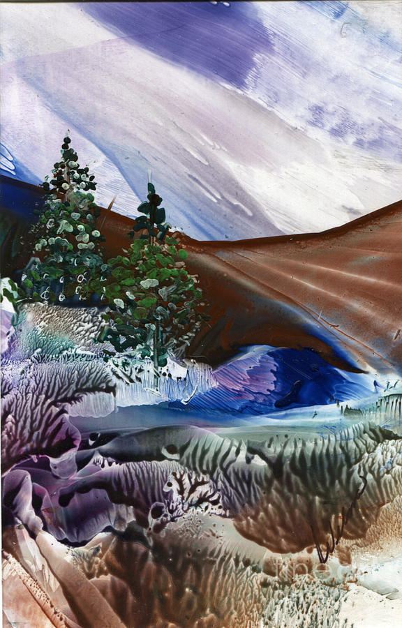 Hidden Cove Painting by Wilma Lopez