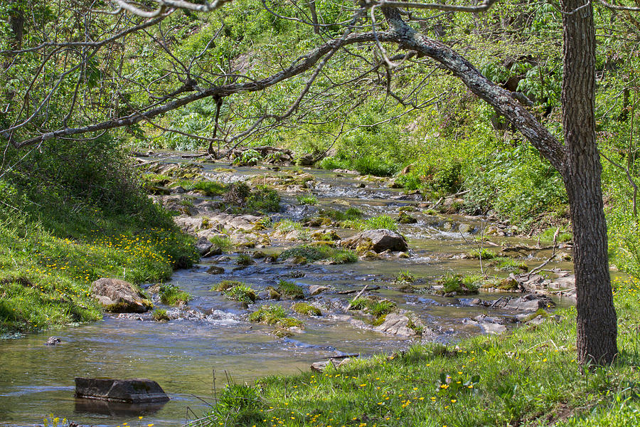 hidden creek at clark