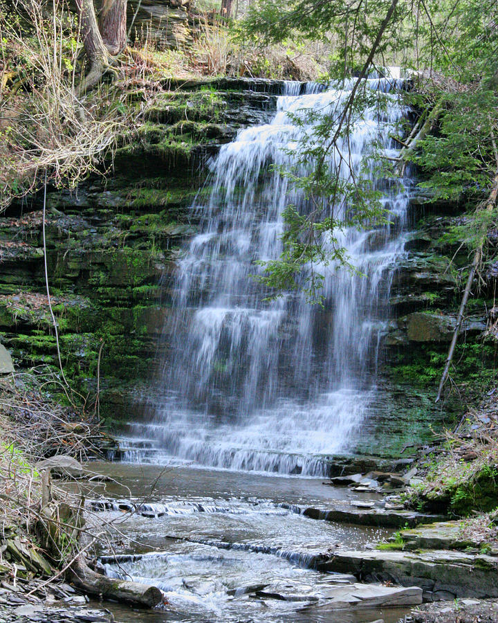 Hidden Falls Photograph by Paul Smith-Keitley - Fine Art America