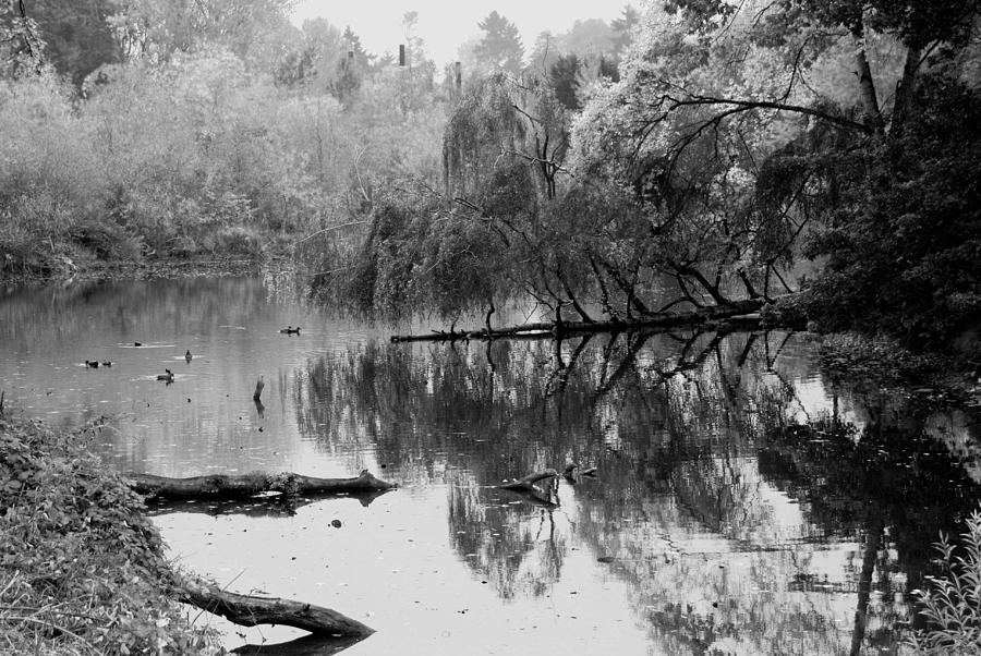 Hidden Lake Photograph by Kathleen Grace