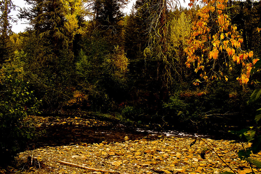 Fall Photograph - Hidden Oasis by Joshua Dwyer
