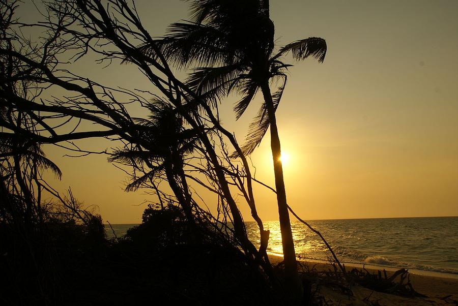 Hidden Paradise Photograph by Christy Leigh - Fine Art America