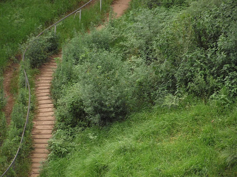 Stair Photograph - Hidden Path by Rani De Leeuw