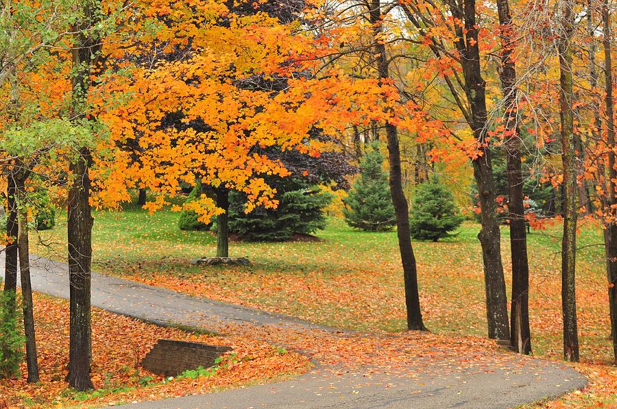 Hidden Roads Photograph by Puzzles Shum - Fine Art America