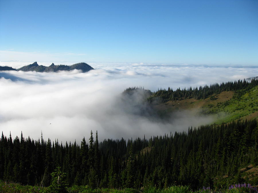 High Above the Clouds Photograph by Kathy Long