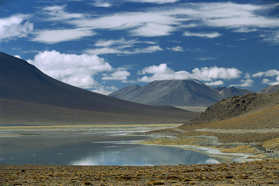 High Andean Lake And Altiplano Photograph by Pete Oxford