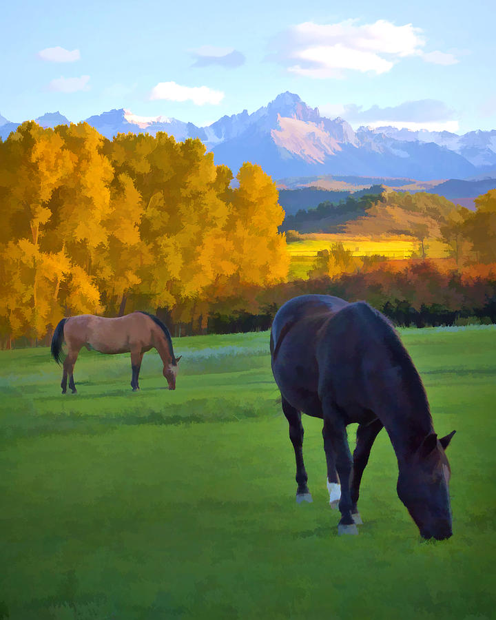 High Country Horses Digital Art by Rick Wicker