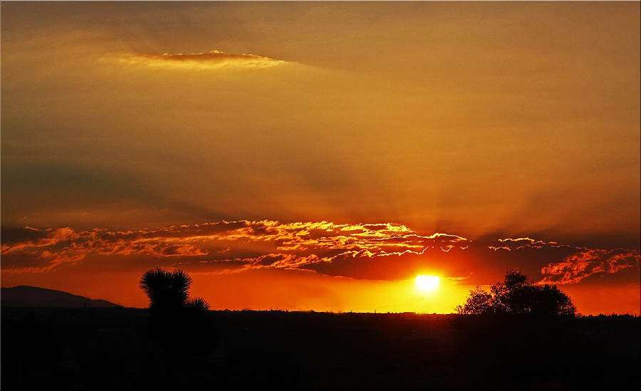 Sunset Photograph - High Desert Sunset by Chet King