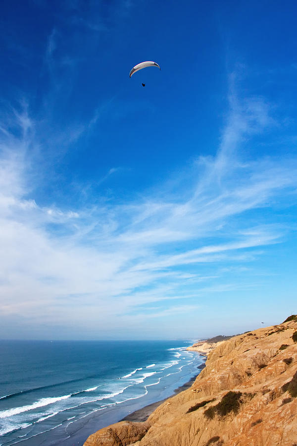 San Diego Photograph - High Flying by Tanya Harrison