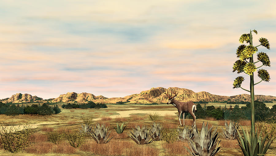 High Plains Mule Deer Digital Art by Walter Colvin