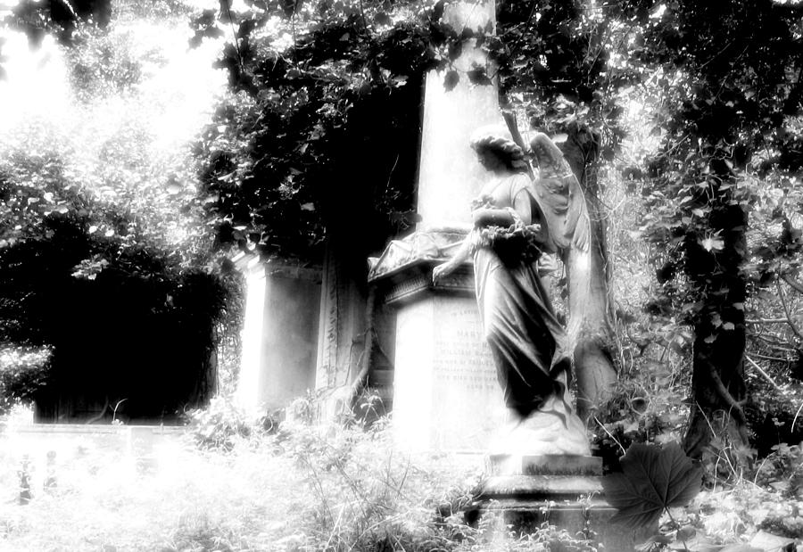 Highgate Cemetery Photograph by David Harding
