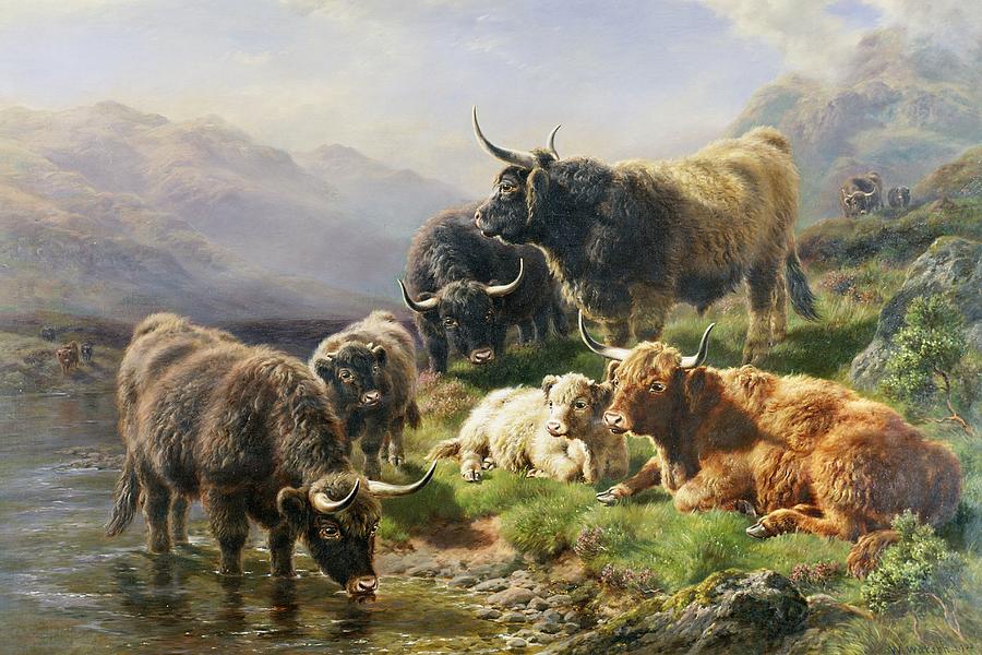 Highland Cattle by William Watson