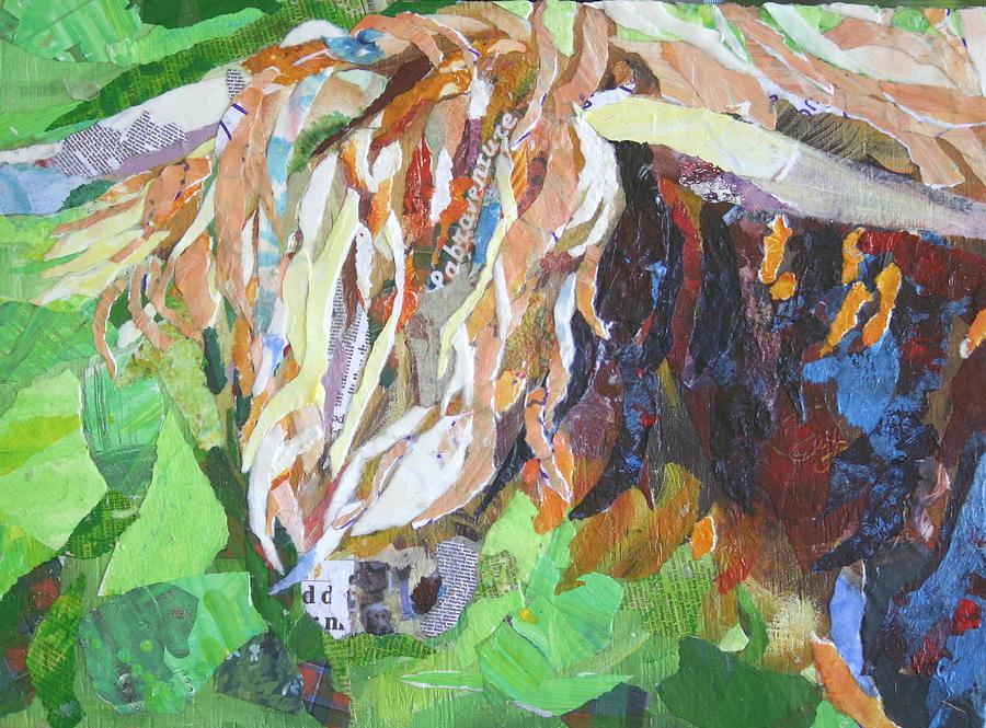 Highland Coo Mixed Media by Sheila Wedegis