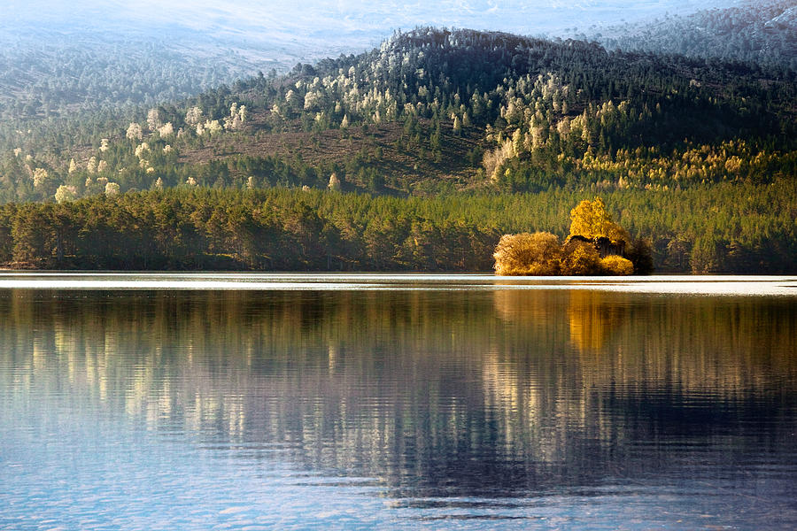 Highland reflections Photograph by Dorit Fuhg