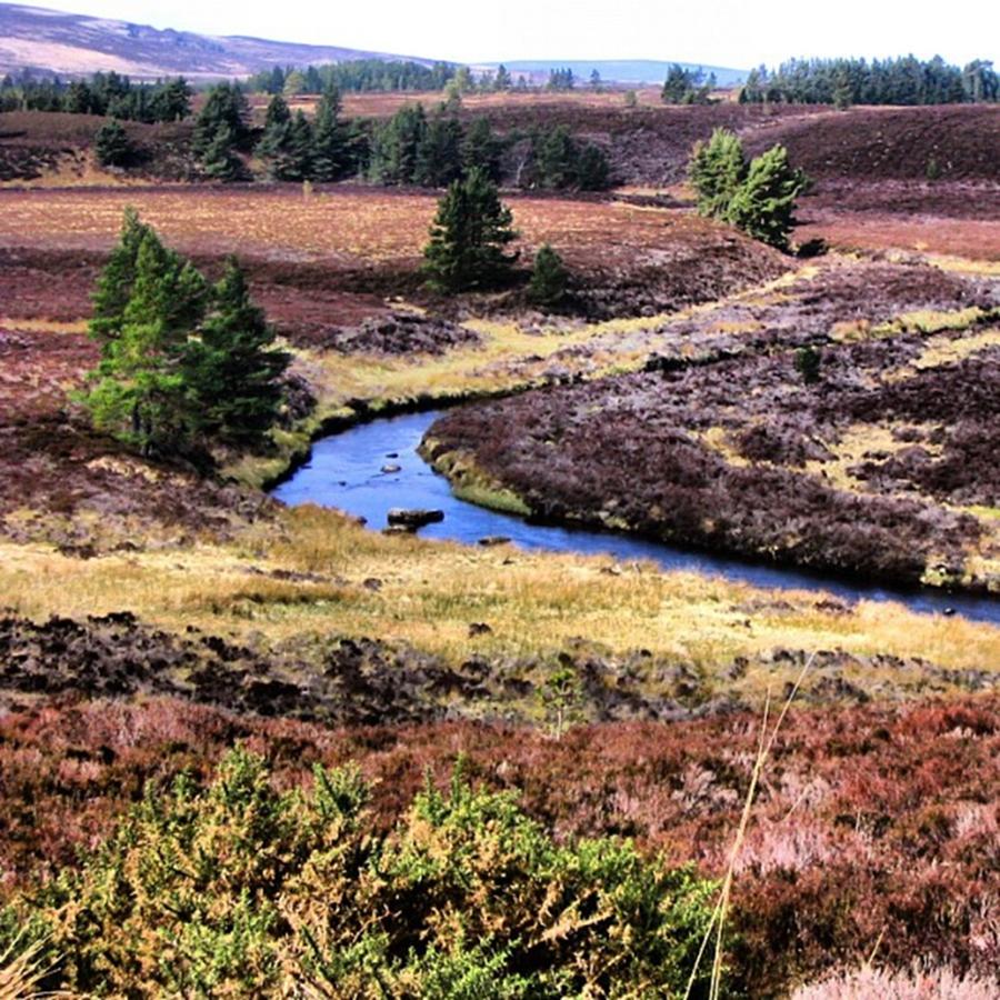 Nature Photograph - Highlands Landscape by Luisa Azzolini