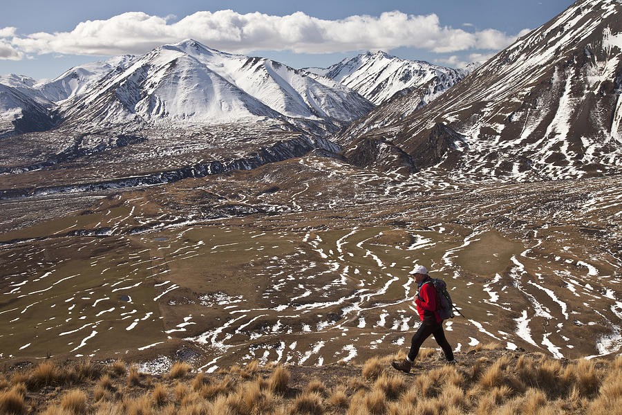 Hiker Descends Hill Of Tussock Grass Photograph by Colin Monteath