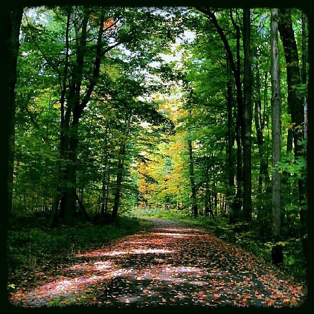 Fall Photograph - Hiking The #indiantrails In #ashtabula by Brandon White