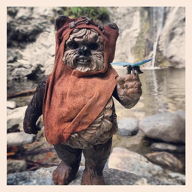 Toy Photograph - Hiking With Wicket  #toy by Timmy Yang