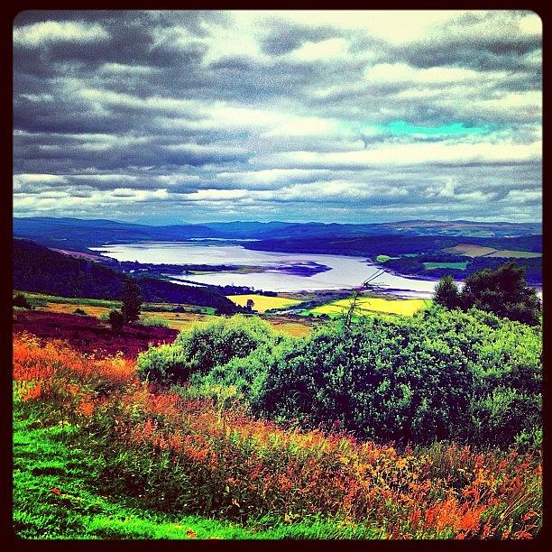 Tree Photograph - #hill #hillside #scotland #highlands by Toonster The Bold