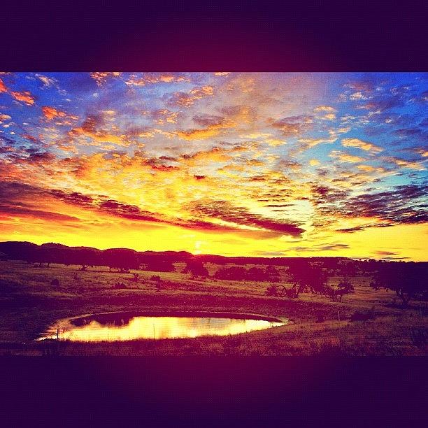 Sunset Photograph - #hillcountry by Corrie Pannell Fleming