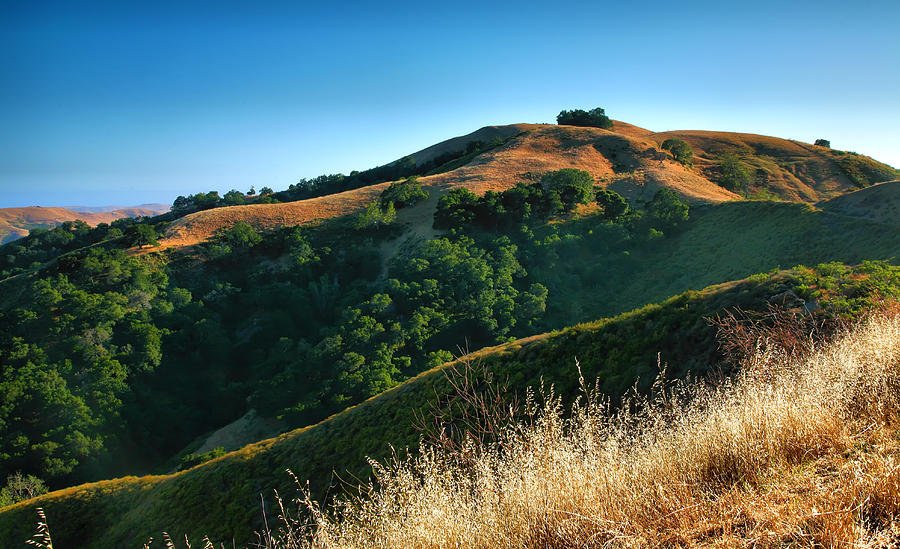 san luis obispo chat San luis obispo chat: welcome to chat san luis obispo, the list of chat hour members in san luis obispo chatters listed below are chat hour members who live in san luis obispo. san luis obispo chat San luis obispo chat: welcome to chat san luis obispo, the list of chat hour members in san luis obispo chatters listed below are chat hour members who live in san luis obispo.