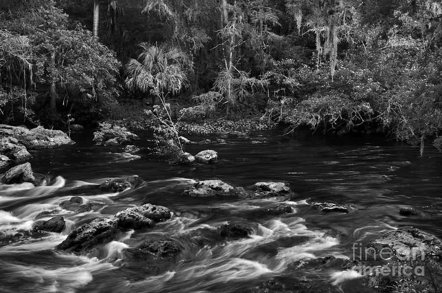 Hillsboroguh River II Photograph by David Waldrop