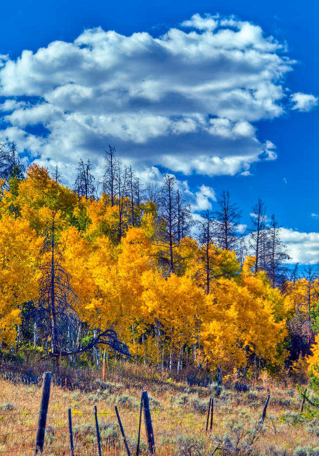 Hillside Color Photograph by Harry Strharsky