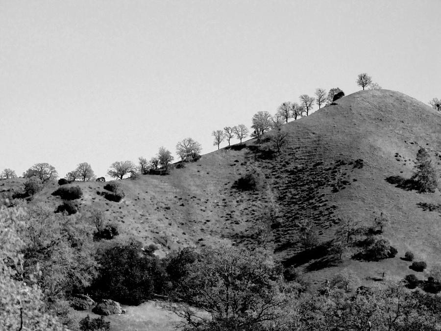 Hilltop in a Row - black and white Photograph by Kathleen Grace