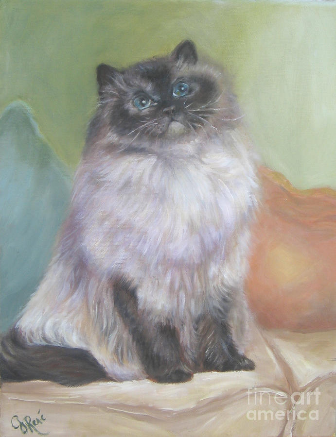 Himalayan Cat on a Sofa Painting by Gayle Rene | Fine Art America