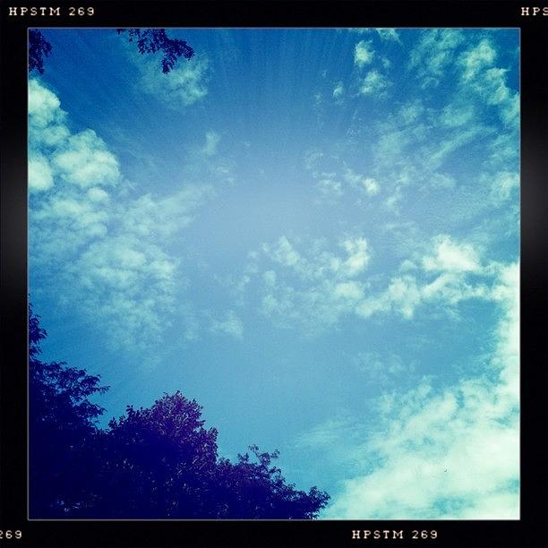 Hipstamatic Photograph - Hip And Blue! #implus_hipstasky by Pam Wolney
