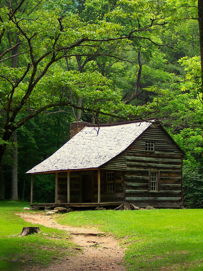 Historic Cabin In The Woods Photograph By Diana Gentry - Fine Art America