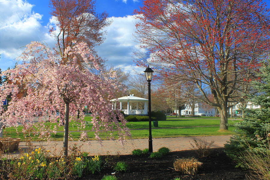 Historic Town Common in Spring Photograph by John Burk - Fine Art America