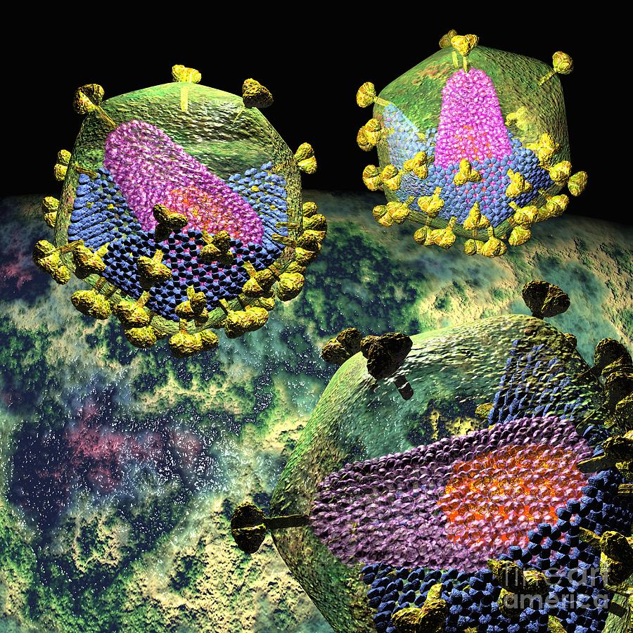 HIV Three Sectioned Virions on Black Digital Art by Russell Kightley