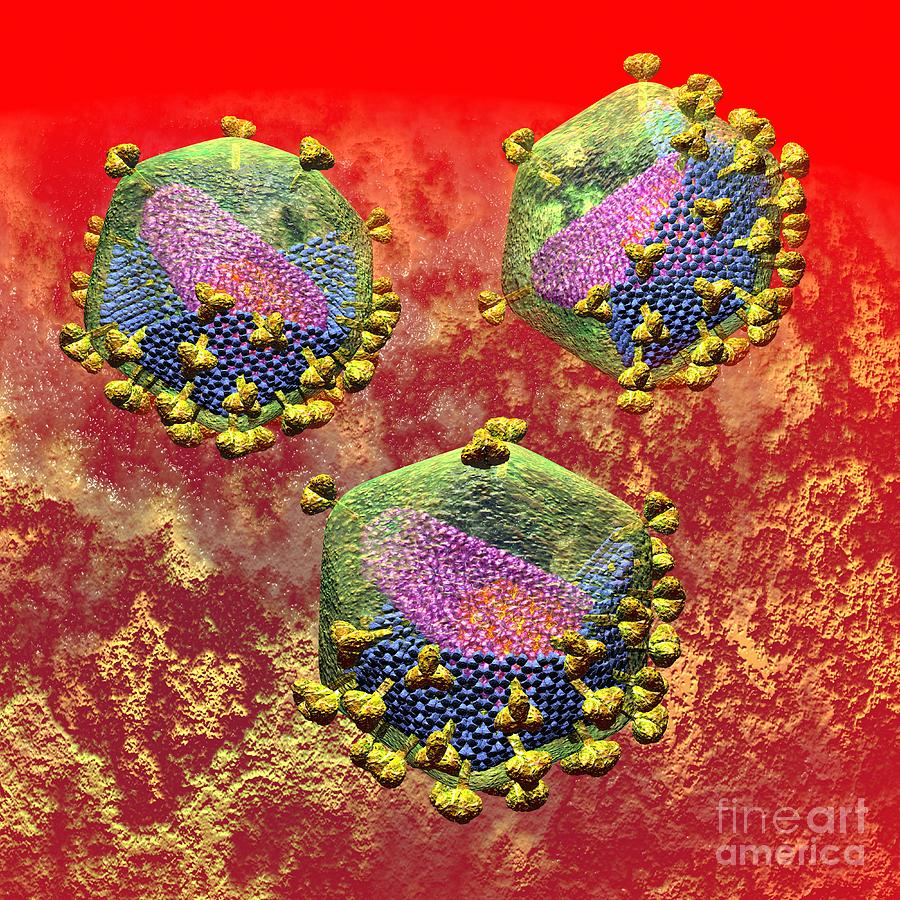 Acquired Digital Art - HIV Three Sectioned Virions on Bright Red by Russell Kightley